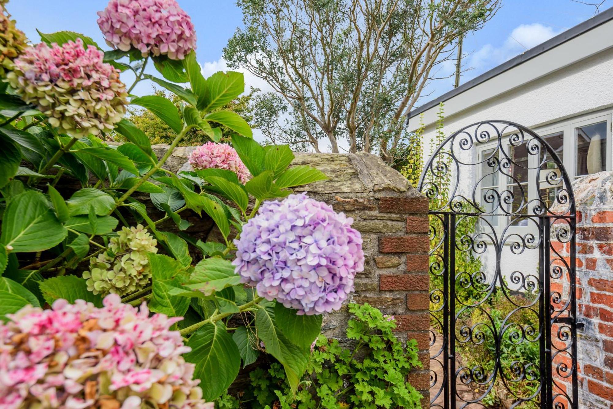 The Secret Garden Villa Malborough Eksteriør bilde